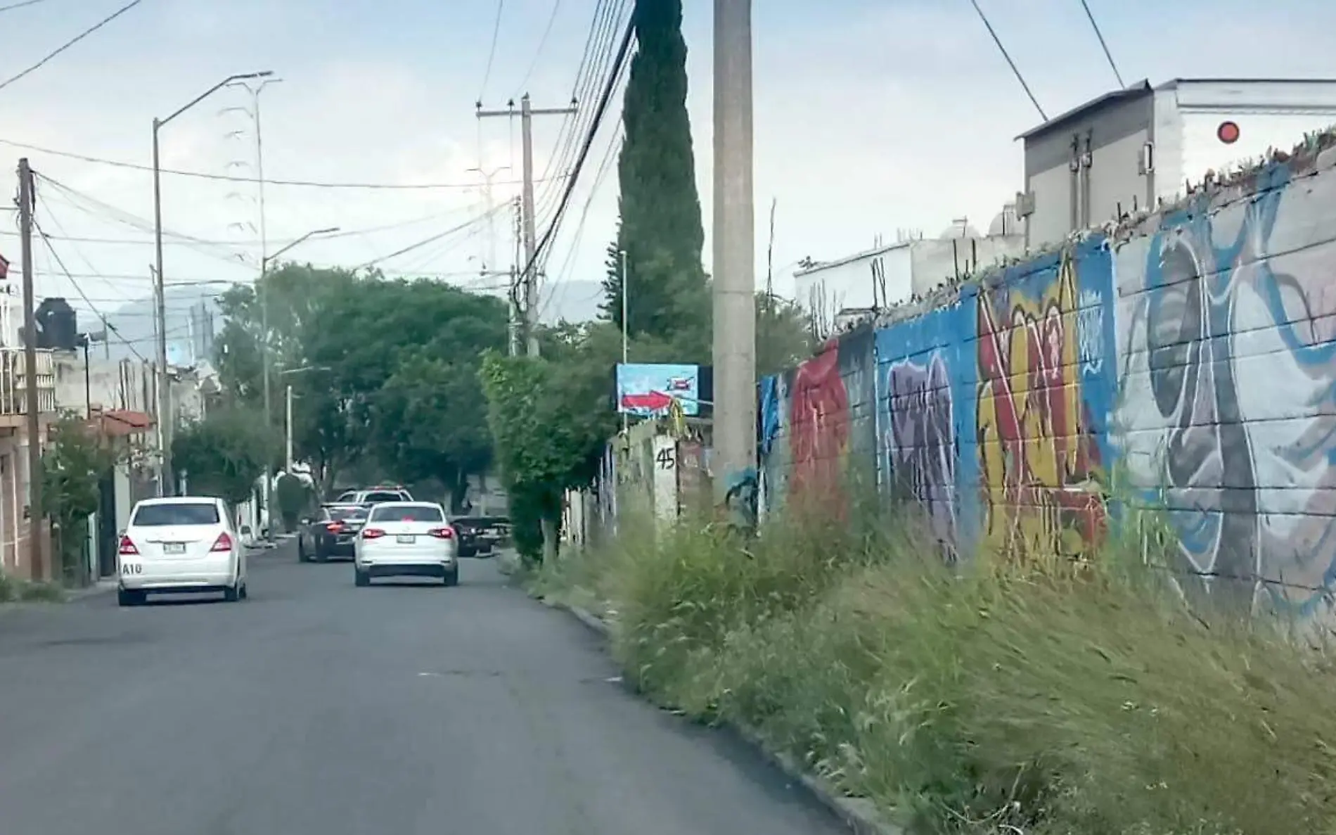 La hierba en las  banquetas impide el paso de los peatones en San Rafael.